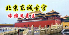 大黑鸡巴好硬好涨视频在线观看中国北京-东城古宫旅游风景区